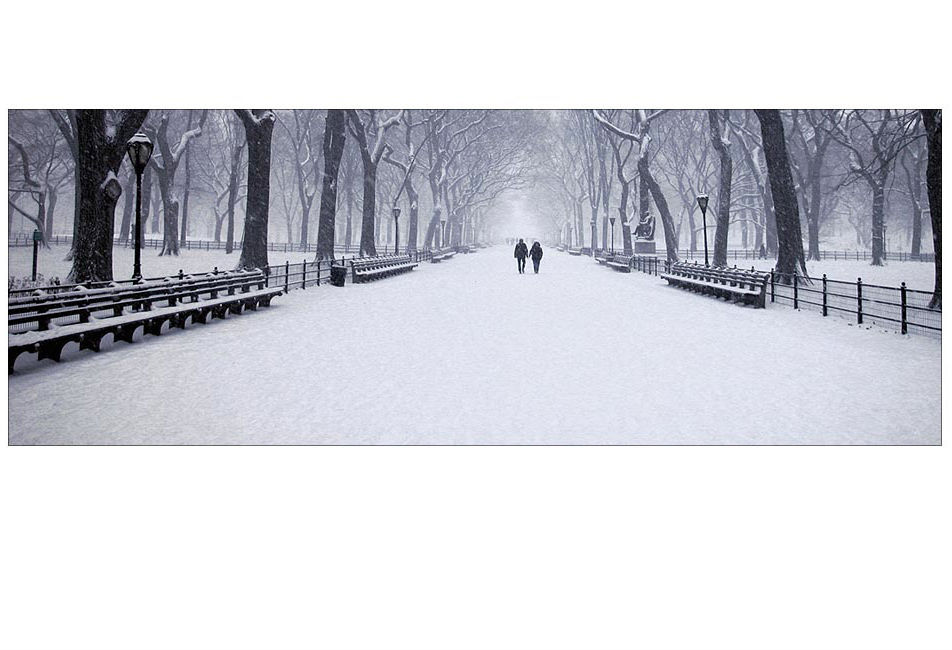 Couple walking in Central Park in winter.